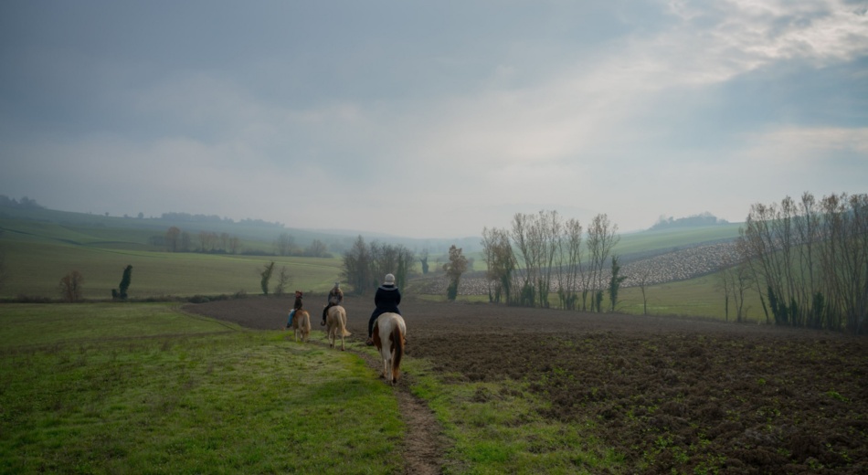 Horse riding in the Mugello area