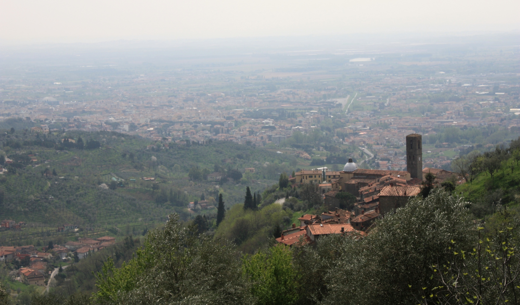 Panorama of Massa and Cozzile