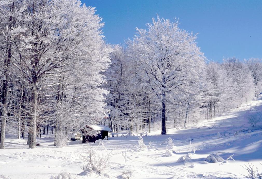 Mount Amiata in winter