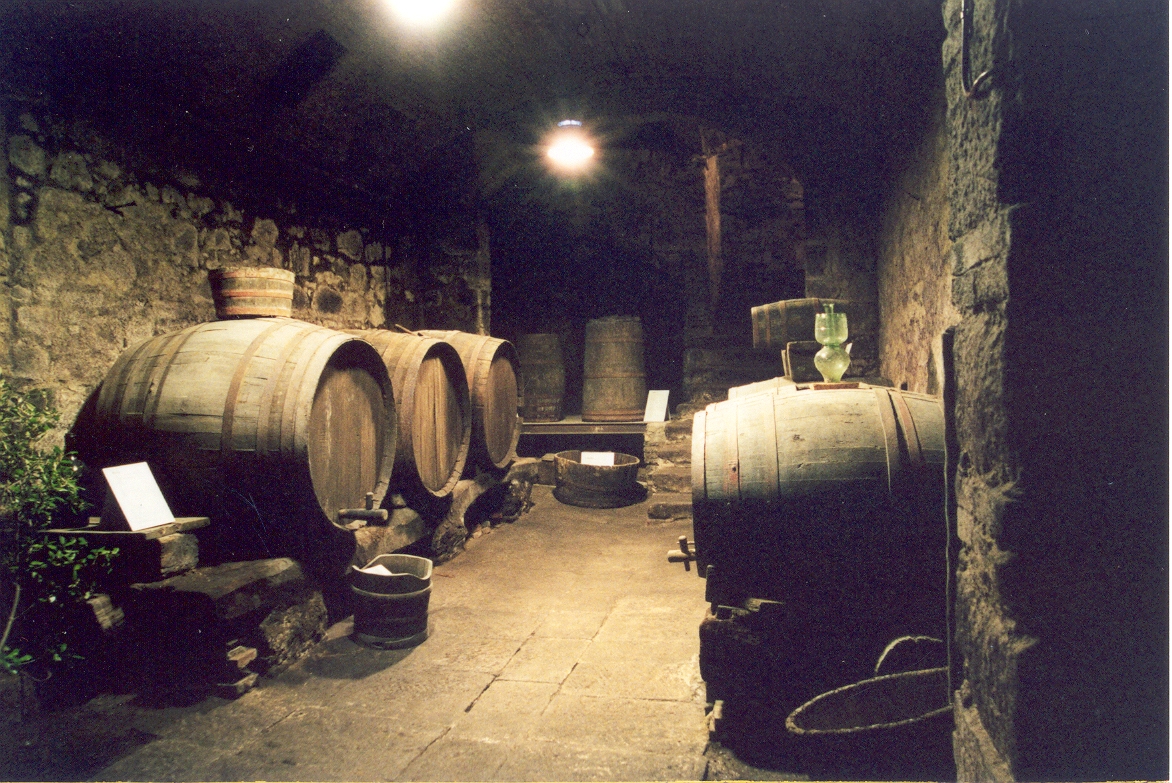 Museum of Wine in Roccastrada