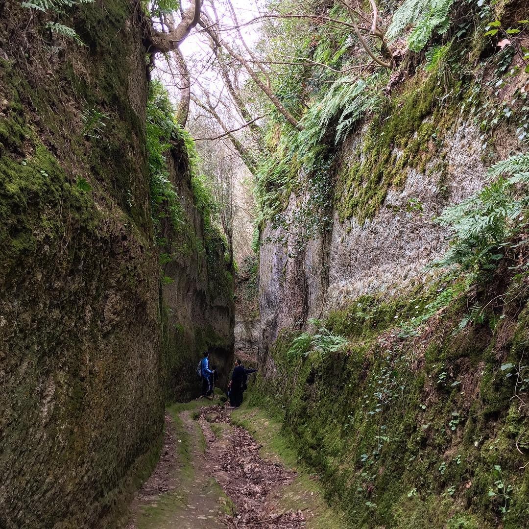 A glimpse of the Vie Cave in the surroundings of Pitigliano