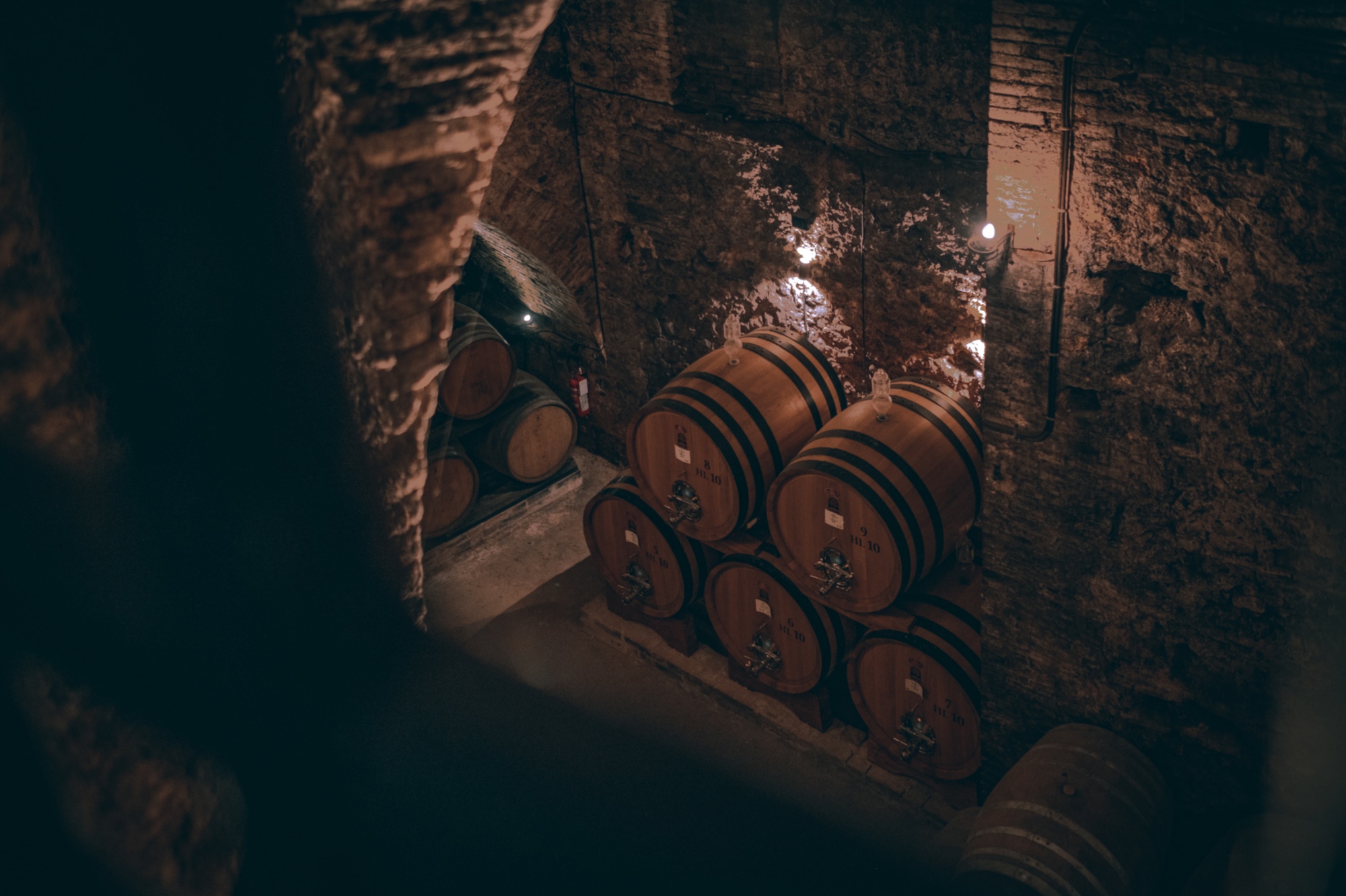 Historic winery of Montepulciano